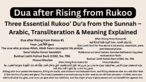 Dua after Rising from Rukoo, Three Essential Rukoo’ Du‘a from the Sunnah – Arabic, Transliteration & Meaning Explained
