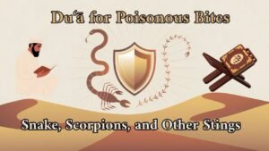 Du‘a for Poisonous Bites like Snake, Scorpions, and Other Stings